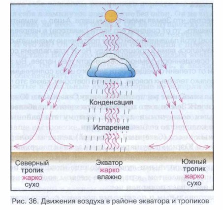 ����������� �������� ����