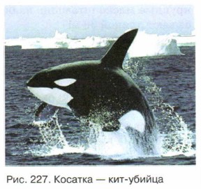 ������� � ���-������