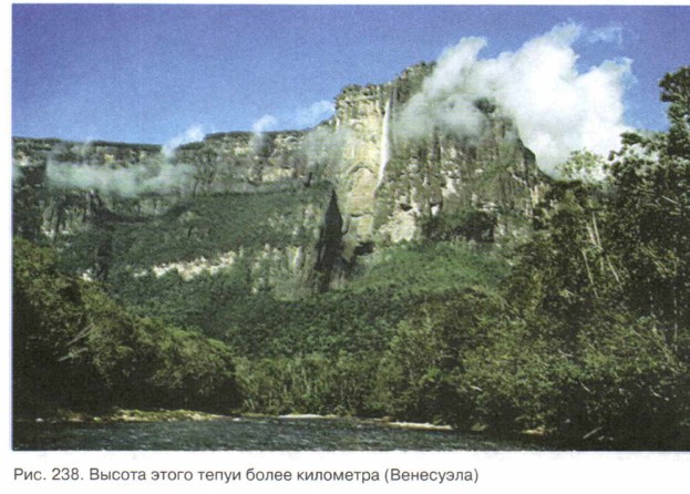 ������ ����� ����� ����� ���������