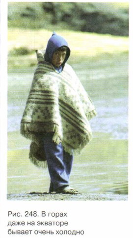 � ����� ���� �� �������� ������ ����� �������