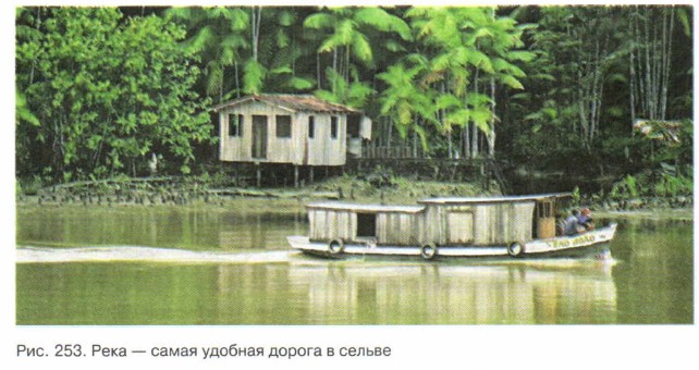 ���� � ����� ������� ������ � ������