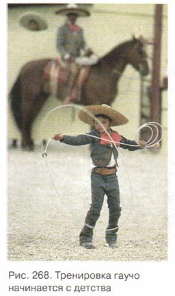 ���������� ����� ���������� � �������