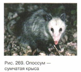 ������� � �������� �����