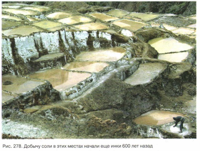 ������ ���� � ���� ������ ������ ��� ���� 600 ��� �����