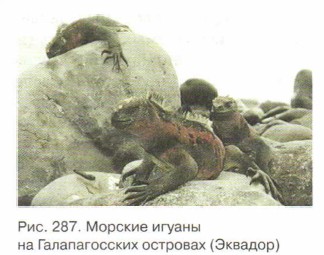 ������� ������