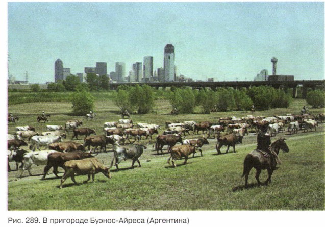 � ��������� ������-������