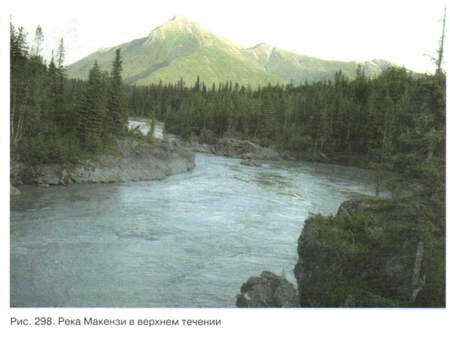 ���� ������� � ������� �������