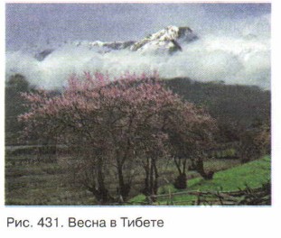 ����� � ������