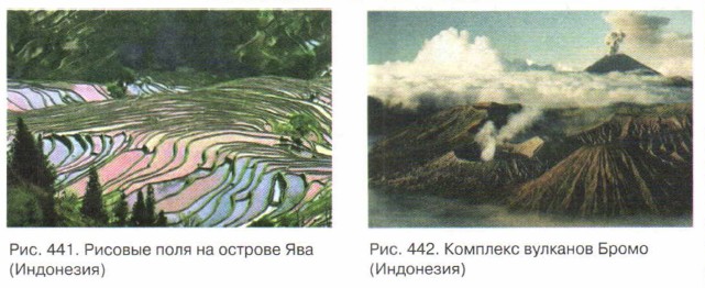 ������� ���� �� ������� ���