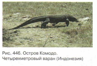 ��������������� �����