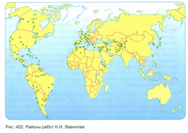 ������ ����� �.�. ��������