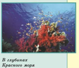 � �������� �������� ����