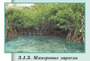 ��������� �������