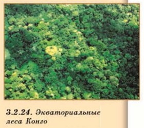 �������������� ���� �����