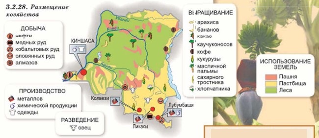 ������������� ������������  ���