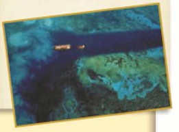 ������� ��������� ���