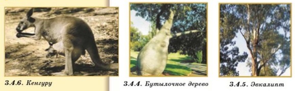 ���������� ������