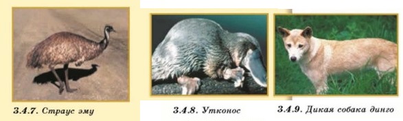 ������ ���