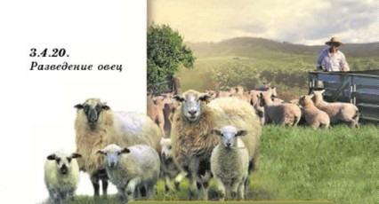 ���������� ����