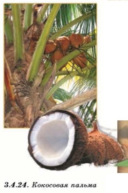 ��������� ������