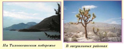 �� ������������� ���������