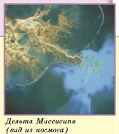 ������ ���������