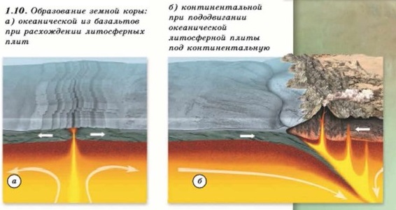 ������������ ������ ����