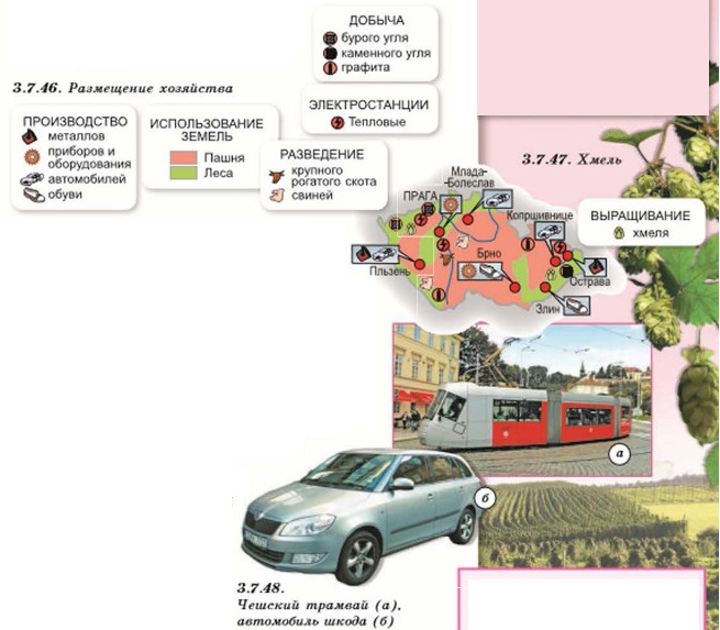 ������������� ������������ �����