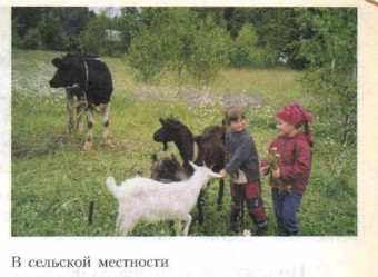 � �������� ���������