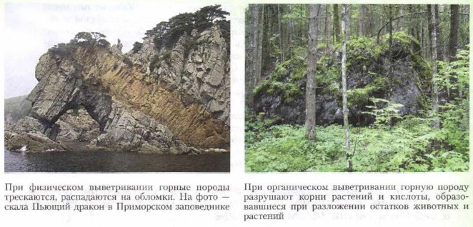 ���� ������������