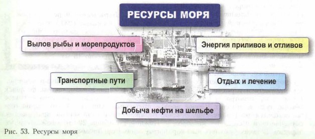 ������� ����