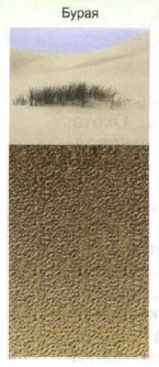 ����� �����