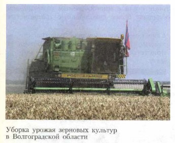 ������ ������ �������� �������