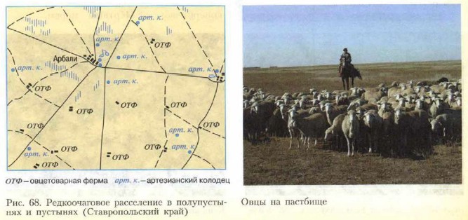 ������������� ����������