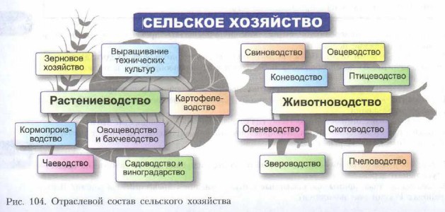 ���������� ������ ��������� ���������