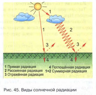 ���� ��������� ��������