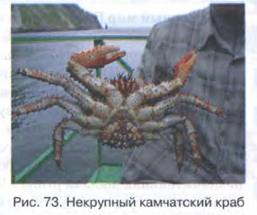 ��������� ���������� ����