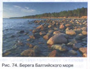 ������ ����������� ����