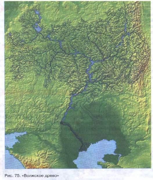 ��������� �����