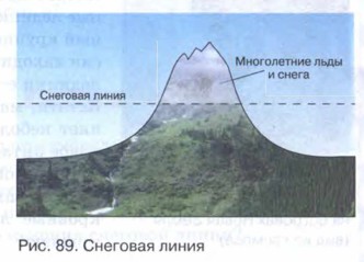 �������� �����