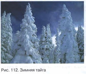 ������ �����