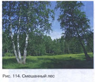 ��������� ���