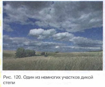 ���� �� �������� �������� ����� �����