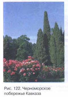 ������������ ��������� �������