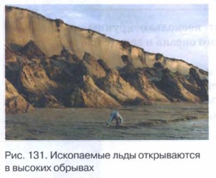 ���������� ����