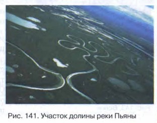 ���� �����