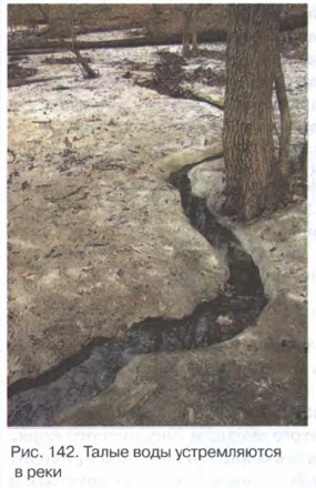 ����� ���� ������������ � ����