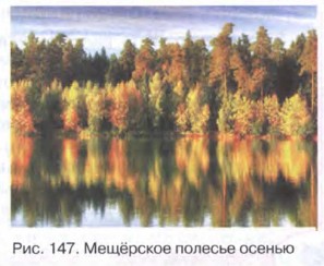 ��������� ������� ������