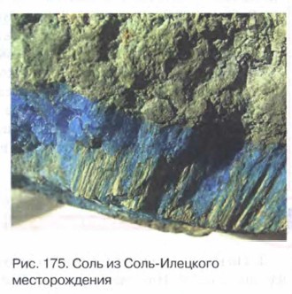 ���� �� ����-�������� �������������