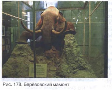 ���������� ������